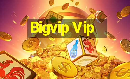 Bigvip Vip