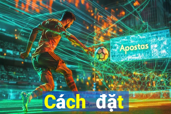 Cách đặt cược XSCT ngày 8