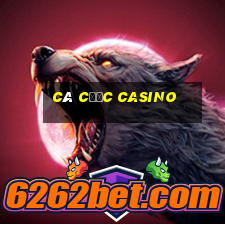 cá cược casino