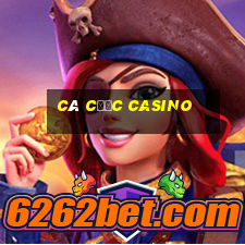 cá cược casino