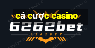 cá cược casino