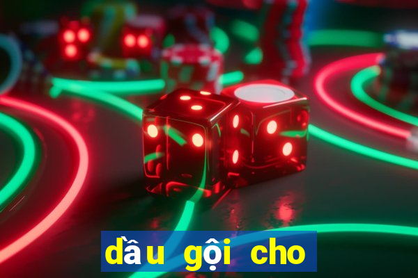 dầu gội cho tóc dầu nhanh bết