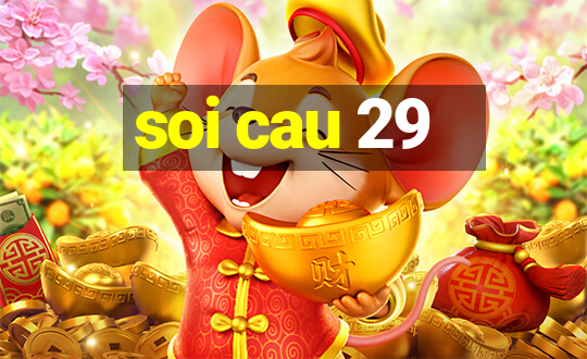 soi cau 29