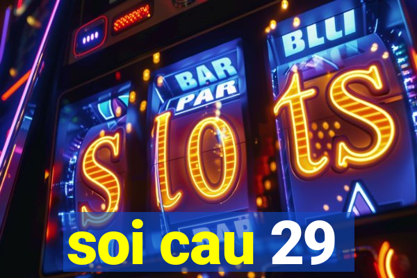 soi cau 29