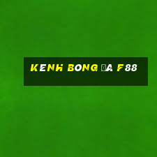 kênh bóng đá f88