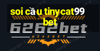 soi cầu tinycat99 bet