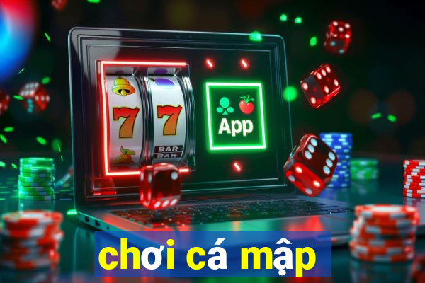 chơi cá mập