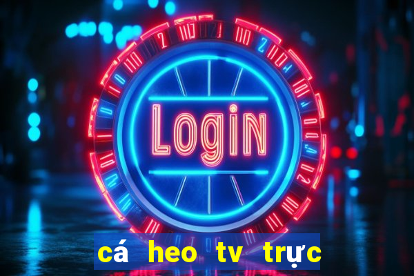 cá heo tv trực tiếp bóng đá