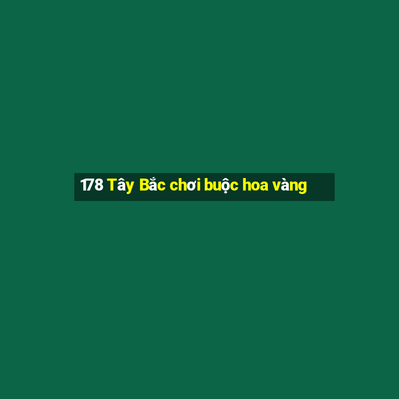 178 Tây Bắc chơi buộc hoa vàng