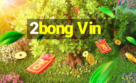 2bong Vin