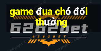 game đua chó đổi thưởng