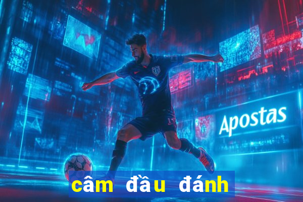 câm đầu đánh con gì