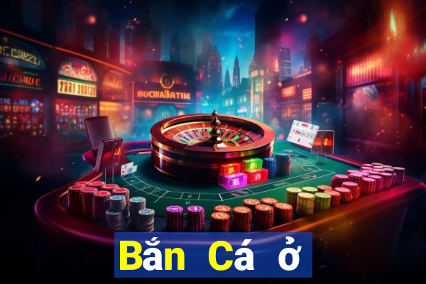 Bắn Cá ở đâu tốt nhất để Bắn Cá