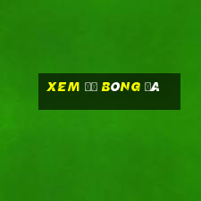 xem độ bóng đá