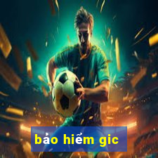 bảo hiểm gic