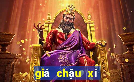 giá chậu xí bệt inax