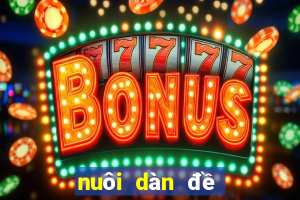 nuôi dàn đề 20 số