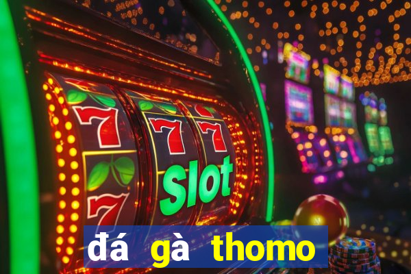 đá gà thomo hôm nay mới nhất