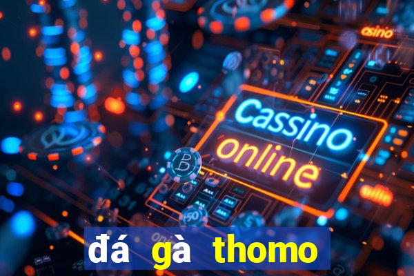 đá gà thomo hôm nay mới nhất