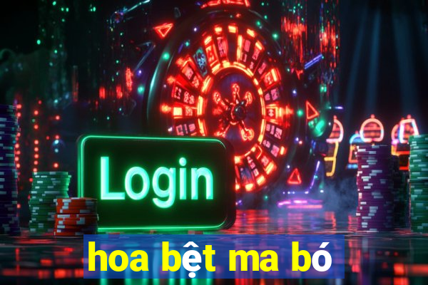 hoa bệt ma bó