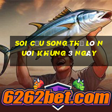 soi cầu song thủ lô nuôi khung 3 ngày