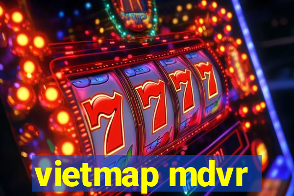 vietmap mdvr