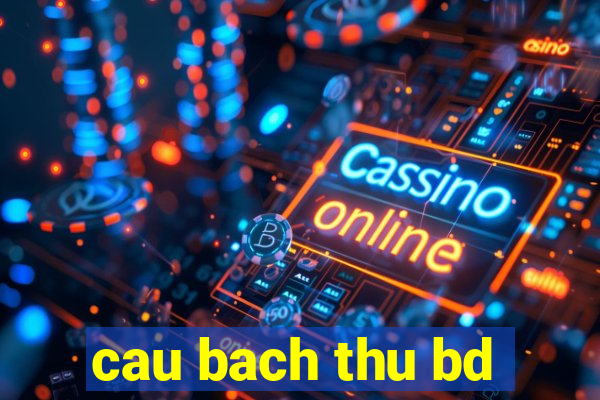 cau bach thu bd