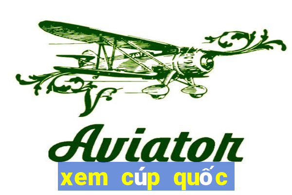 xem cúp quốc gia trên kênh nào