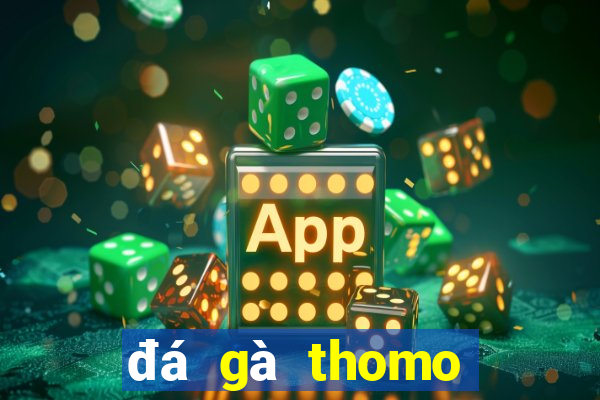 đá gà thomo tiền tỷ