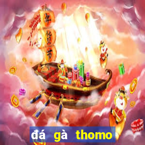 đá gà thomo tiền tỷ