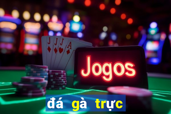 đá gà trực tiếp bên casino