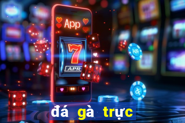 đá gà trực tiếp campuchia ngày hôm nay