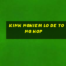 kinh nghiem lo de tong hop