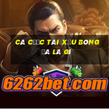 cá cược tài xỉu bóng đá là gì