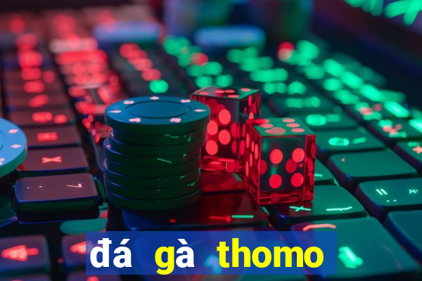 đá gà thomo trực tiếp 15 10