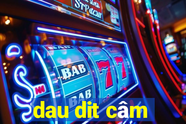 dau dit cam