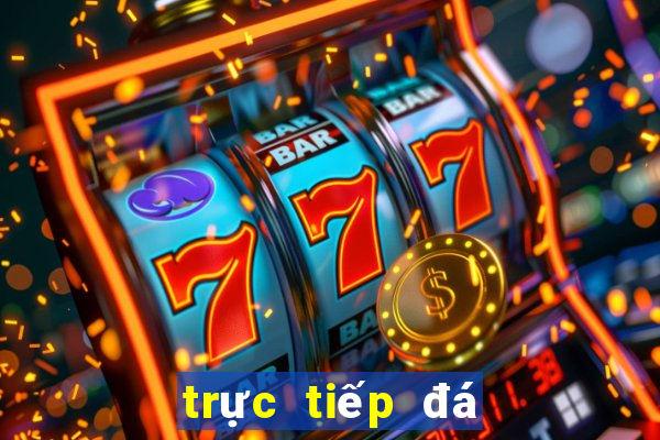 trực tiếp đá gà casino hôm nay