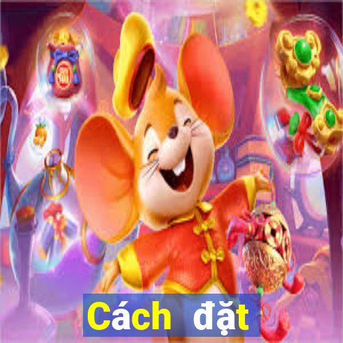 Cách đặt cược XSDNO Thứ 2