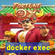 docker exec