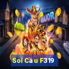 Soi Cầu F319