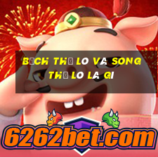 bạch thủ lô và song thủ lô là gì