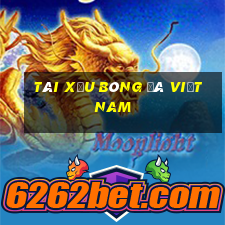 tài xỉu bóng đá việt nam