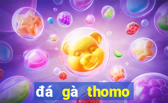 đá gà thomo giải gà tre