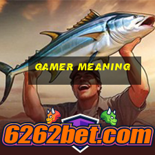 gamer meaning