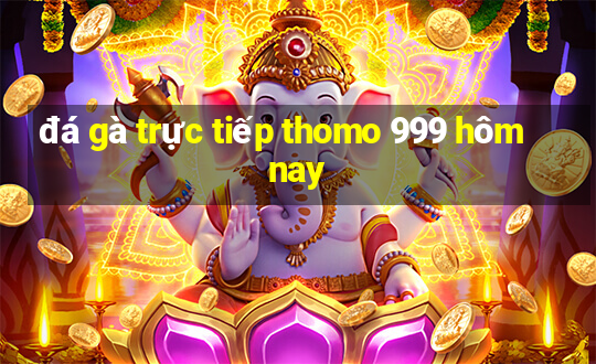 đá gà trực tiếp thomo 999 hôm nay