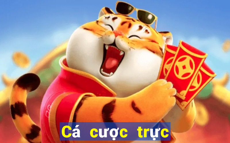 Cá cược trực tuyến topbet888