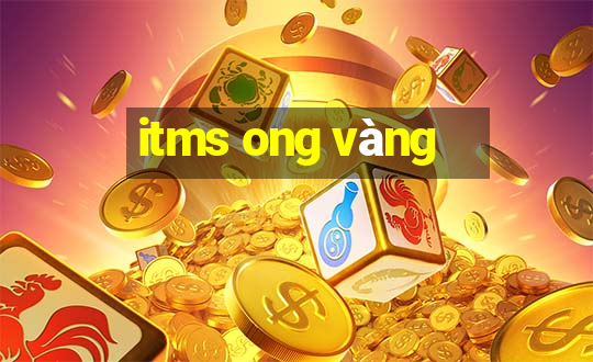 itms ong vàng