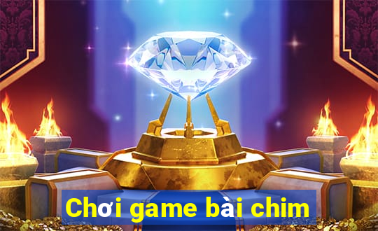 Chơi game bài chim