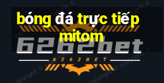 bóng đá trực tiếp mitom