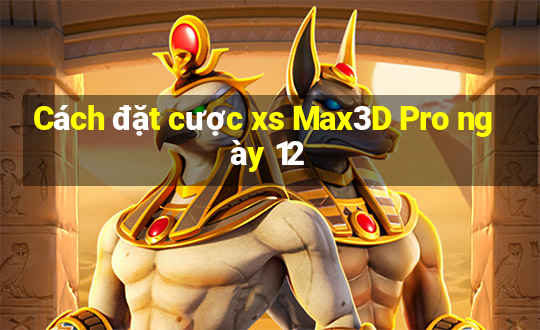 Cách đặt cược xs Max3D Pro ngày 12